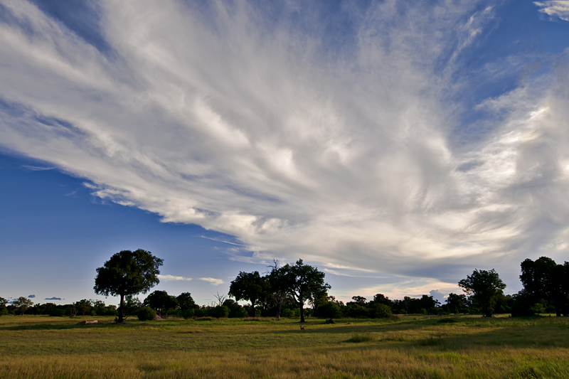 Okavango skies I