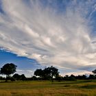 Okavango skies I