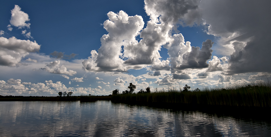 Okavango skies II