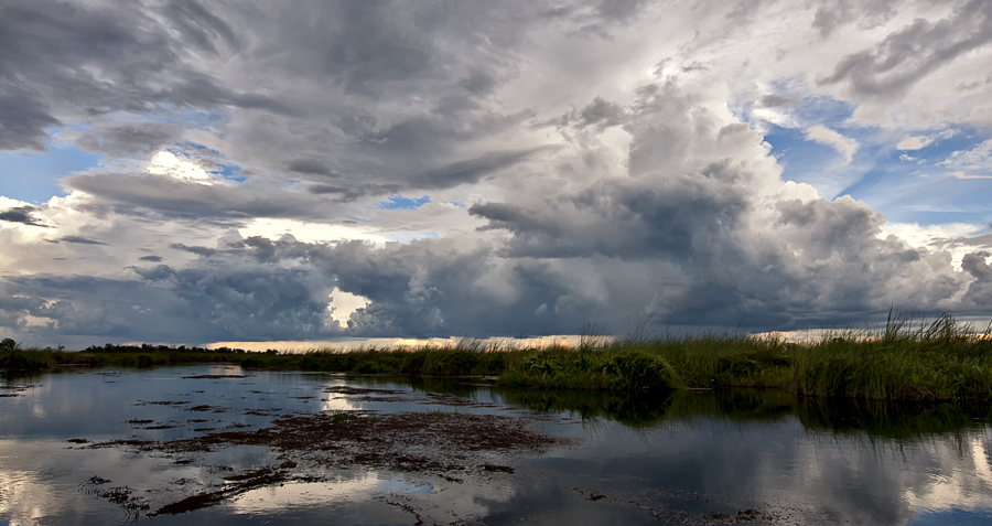 Okavango skies III