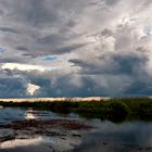 Okavango skies III