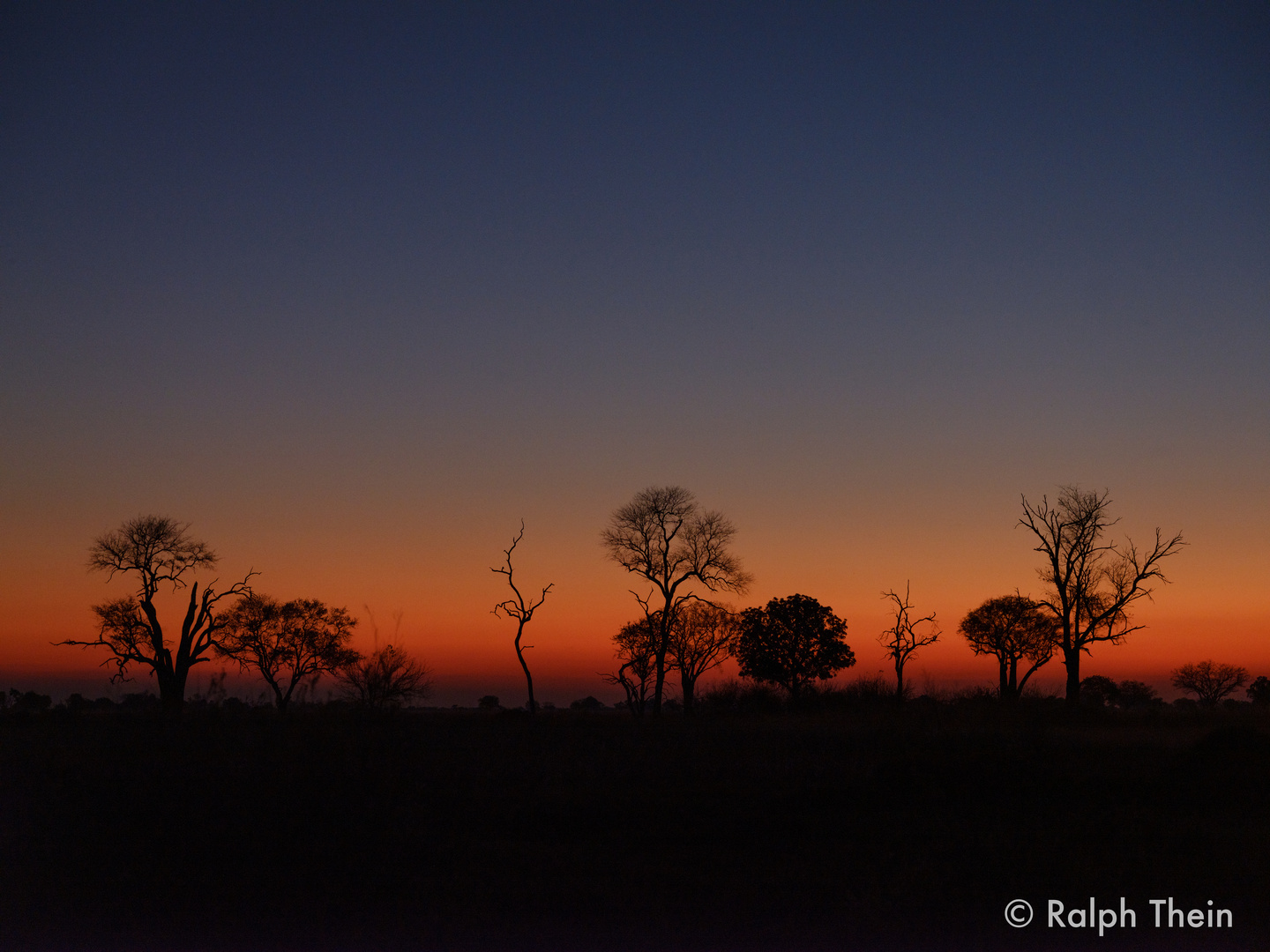 Okavango Sundown