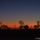 Okavango Sundown