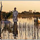 Okavango Sundowner