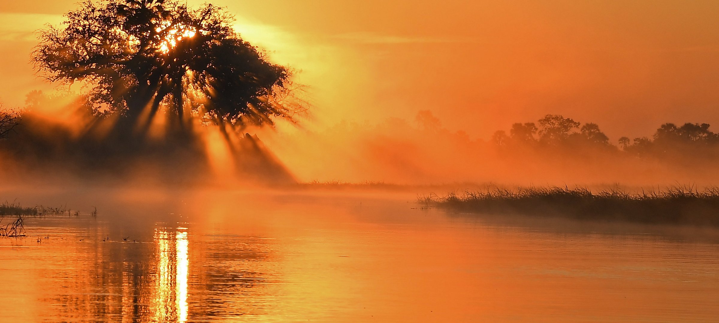 Okavango Sunrise