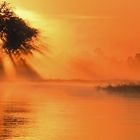 Okavango Sunrise