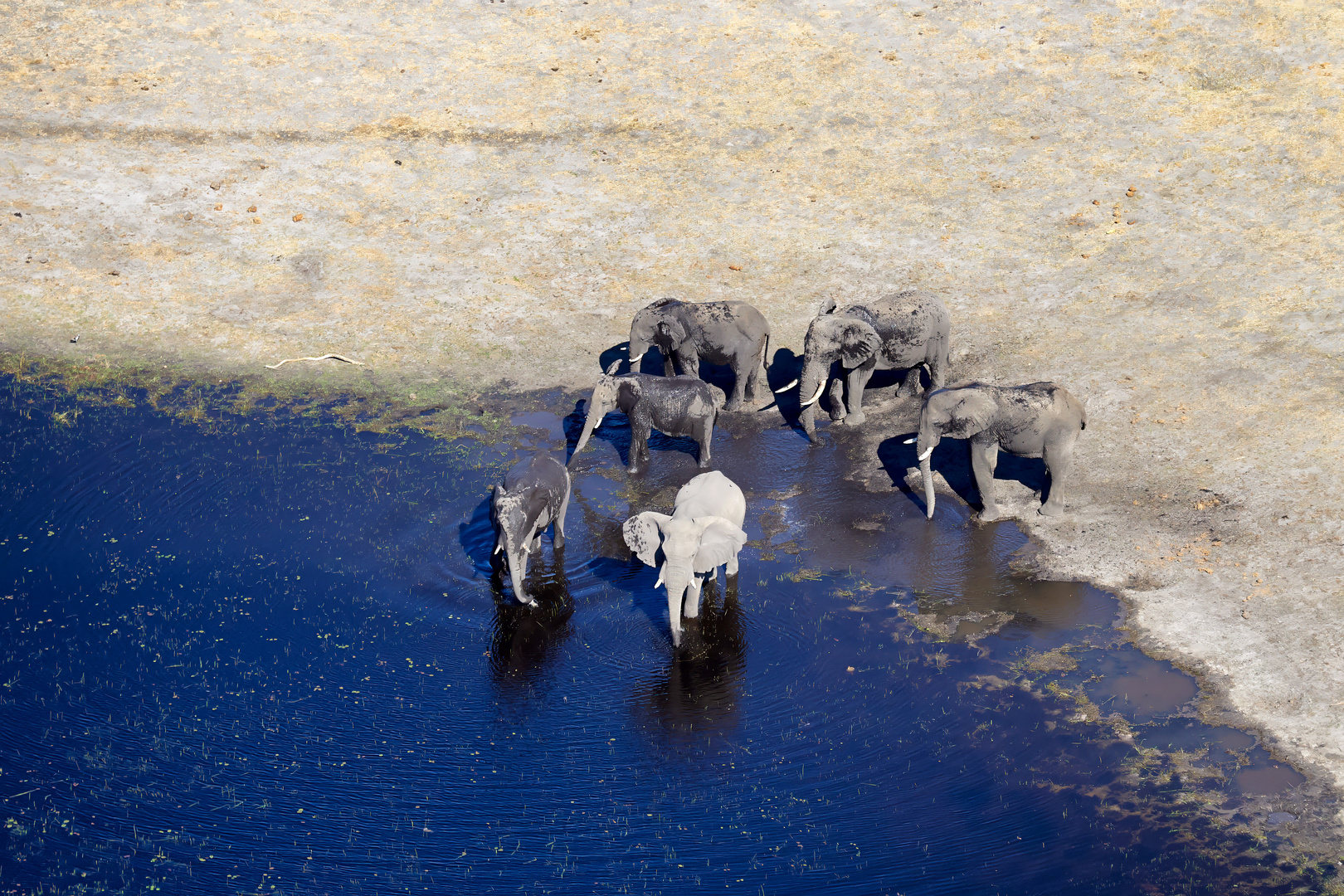 Okavango von oben