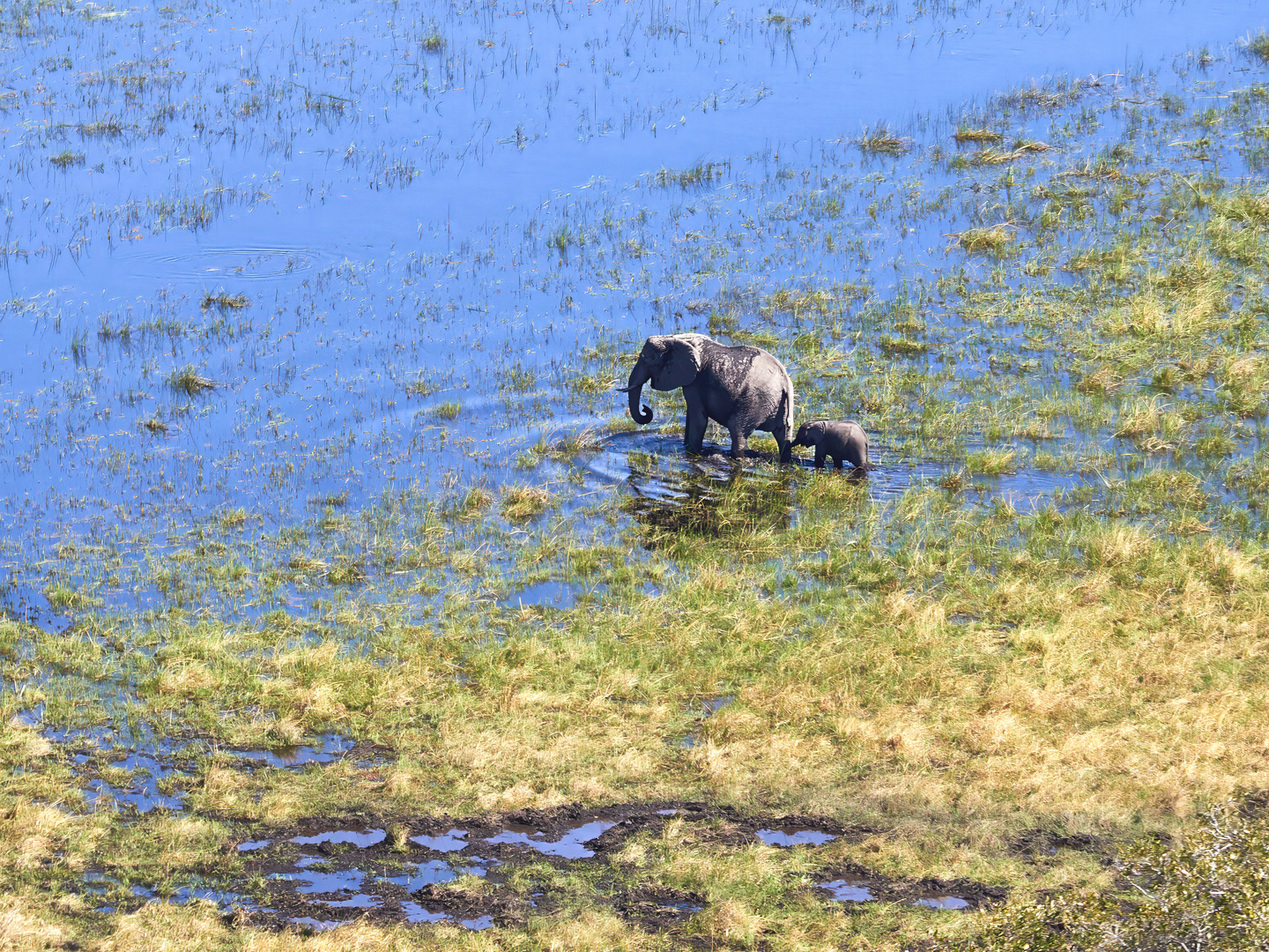 Okavango von oben II