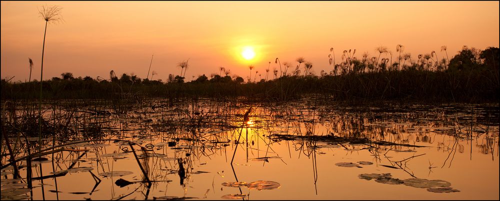 [ Okavango Wetlands ]
