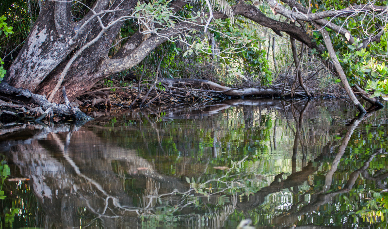 Okavangodelta 