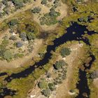 Okavangodelta