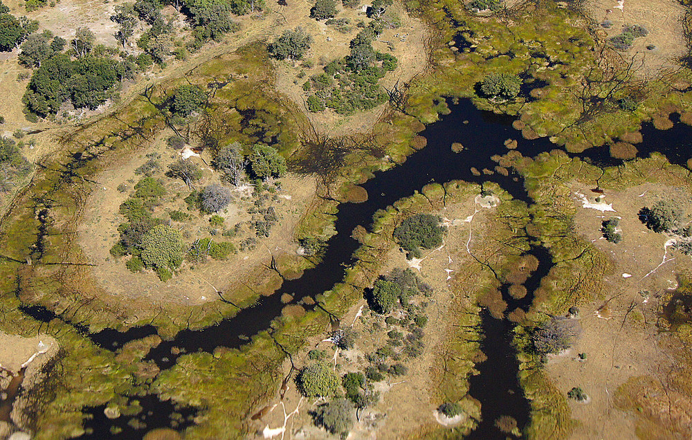 Okavangodelta