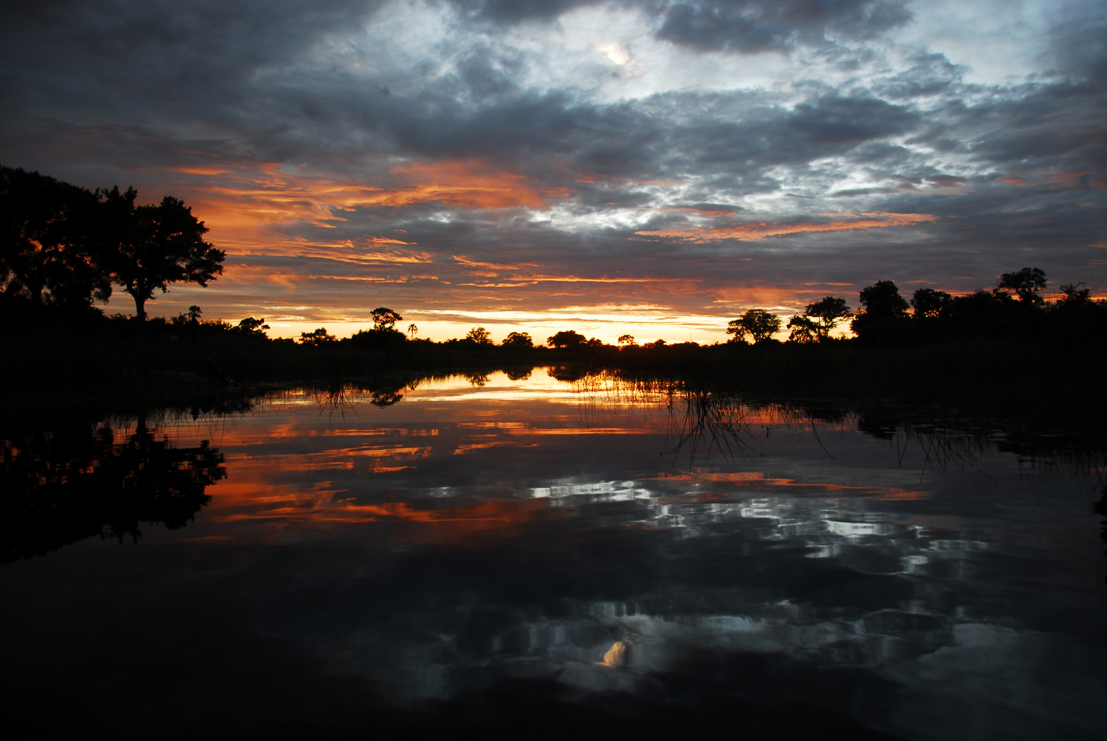 Okavangodelta im Morgengrauen