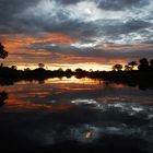 Okavangodelta im Morgengrauen