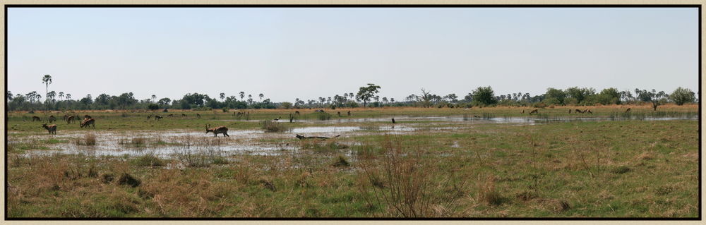 OkavangoDelta-Moremi Landzunge - Xini Lagoon