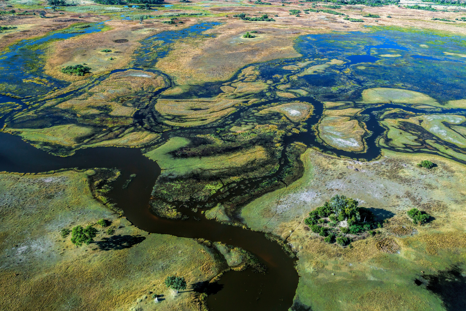 Okavangodelta von oben