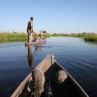 Okawango Delta