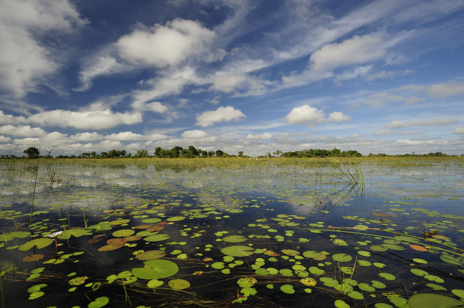 Okawango Delta