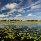 Okawango Delta