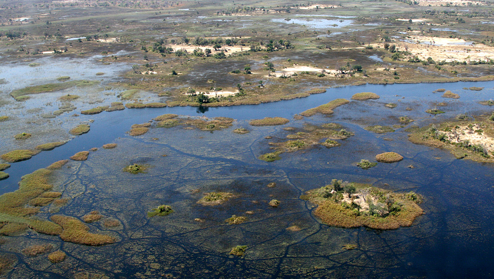 Okawango Delta