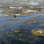 Okawango Delta