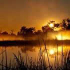 Okawango Sunrise