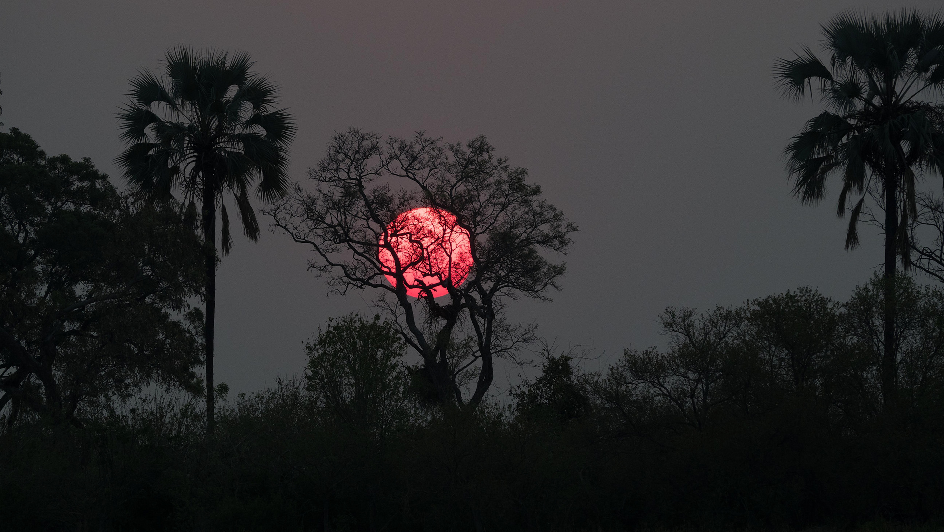 Okawango sunset II 