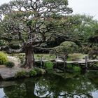 Okayama - Koraku-en - Yatsuhashi