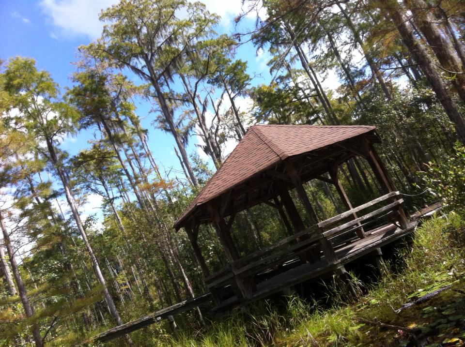 Okefenokee NP