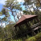 Okefenokee NP