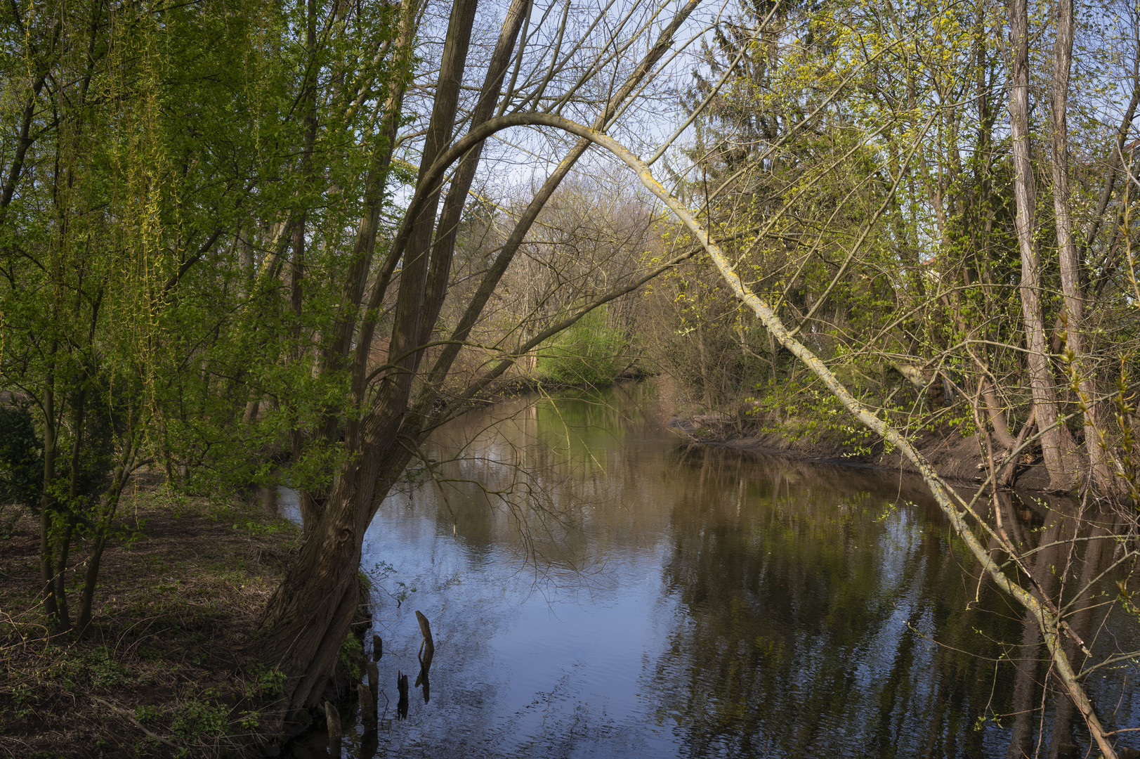 Oker - Durchblick und Spiegelung