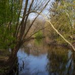 Oker - Durchblick und Spiegelung