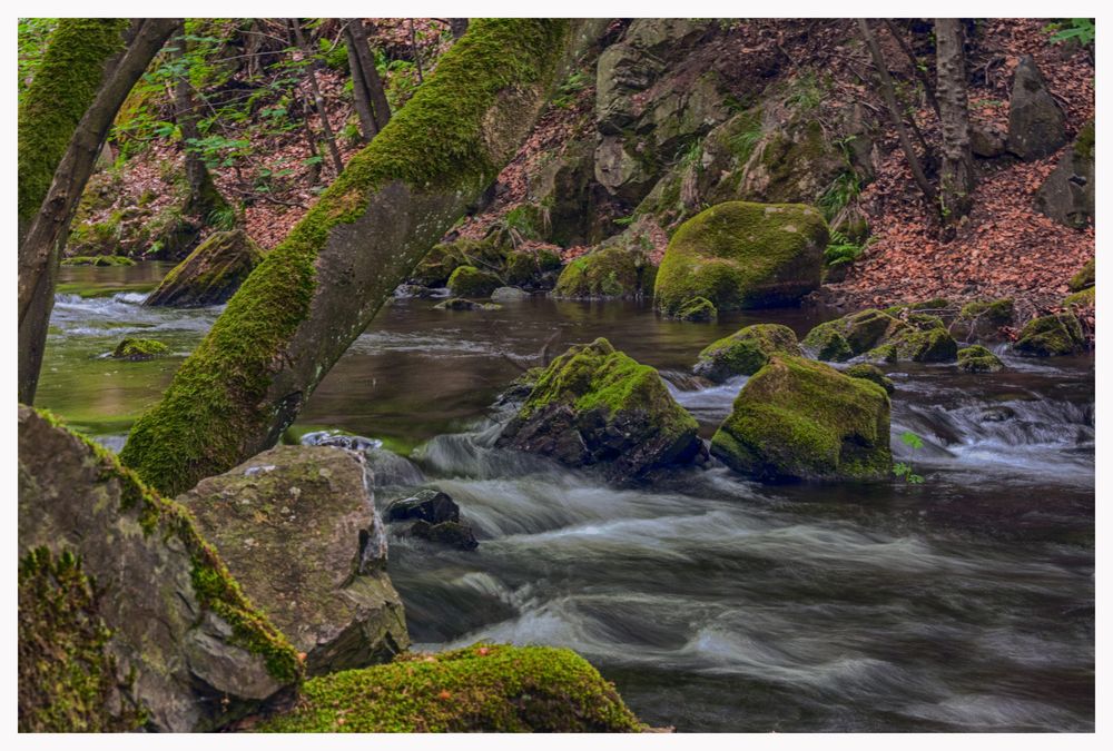 Oker im Harz von Andreas Kaiser