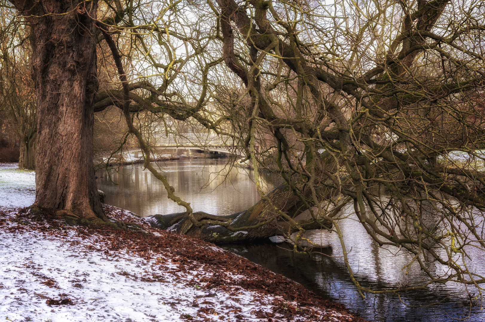 Okerbrücke im Bürgerpark