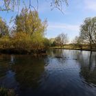 Okergabelung bei Stöckheim