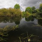 Okerschleife beim Südsee 