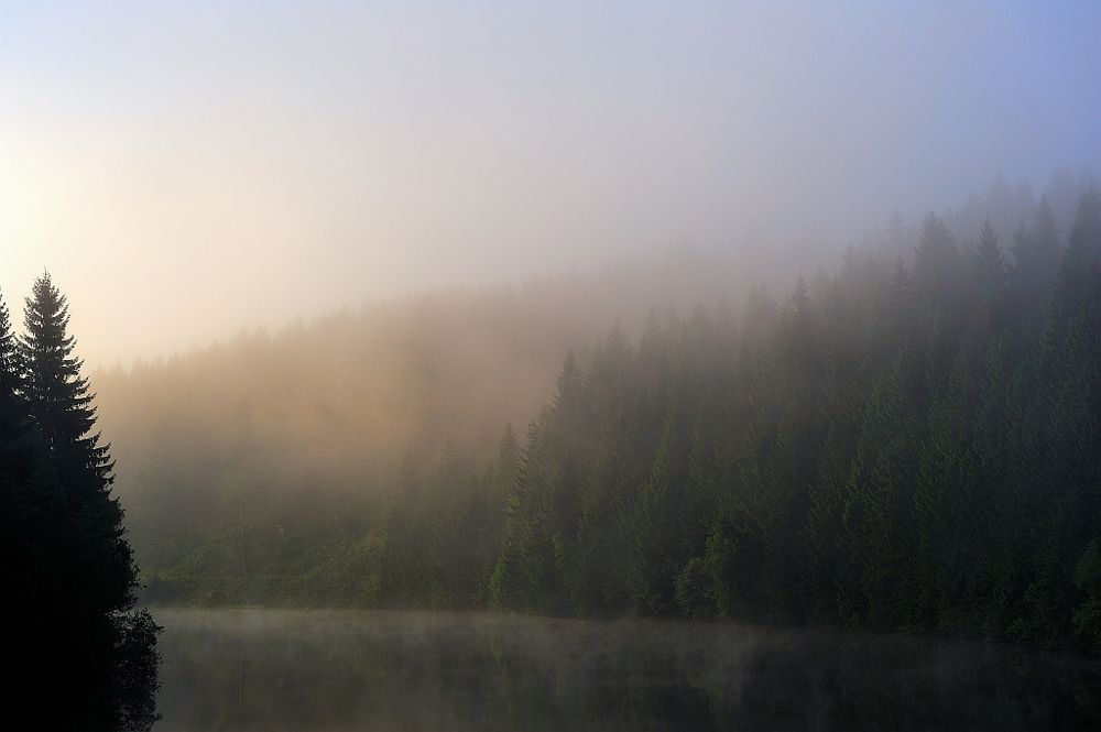 Okertalsperre in Morgenstimmung