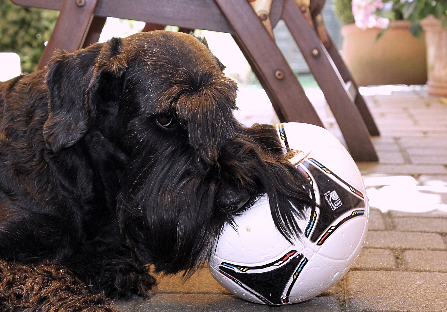 Okira liebt Fußball