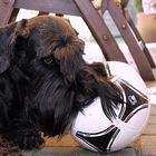 Okira liebt Fußball