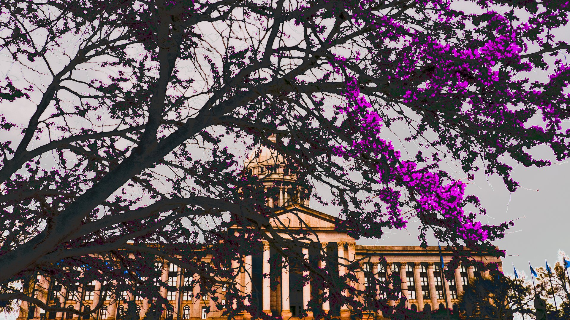 Oklahoma Capitol