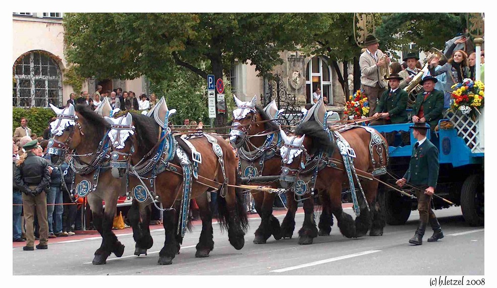 Okobterfesteinzug 2008 II