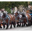 Okobterfesteinzug 2008 II