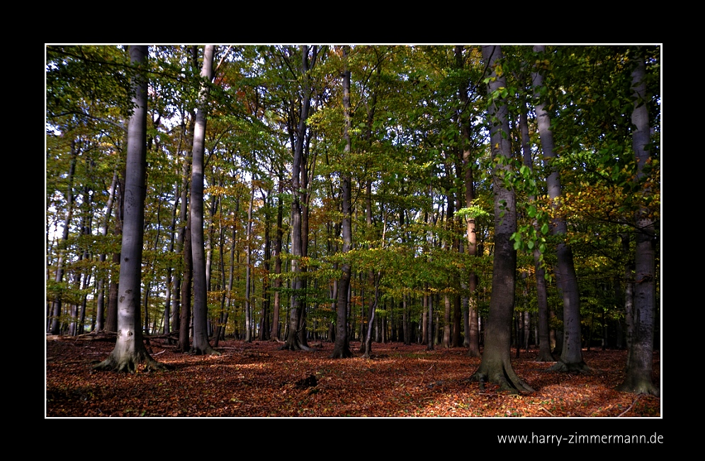 Oktober 2010 - 12