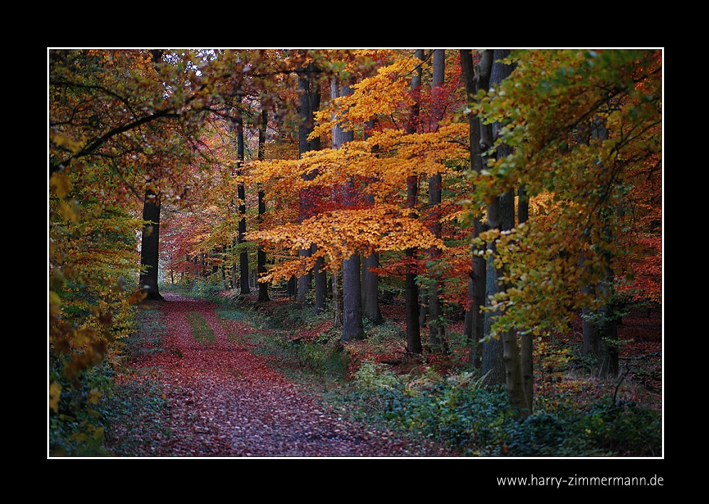 Oktober 2010 - 9