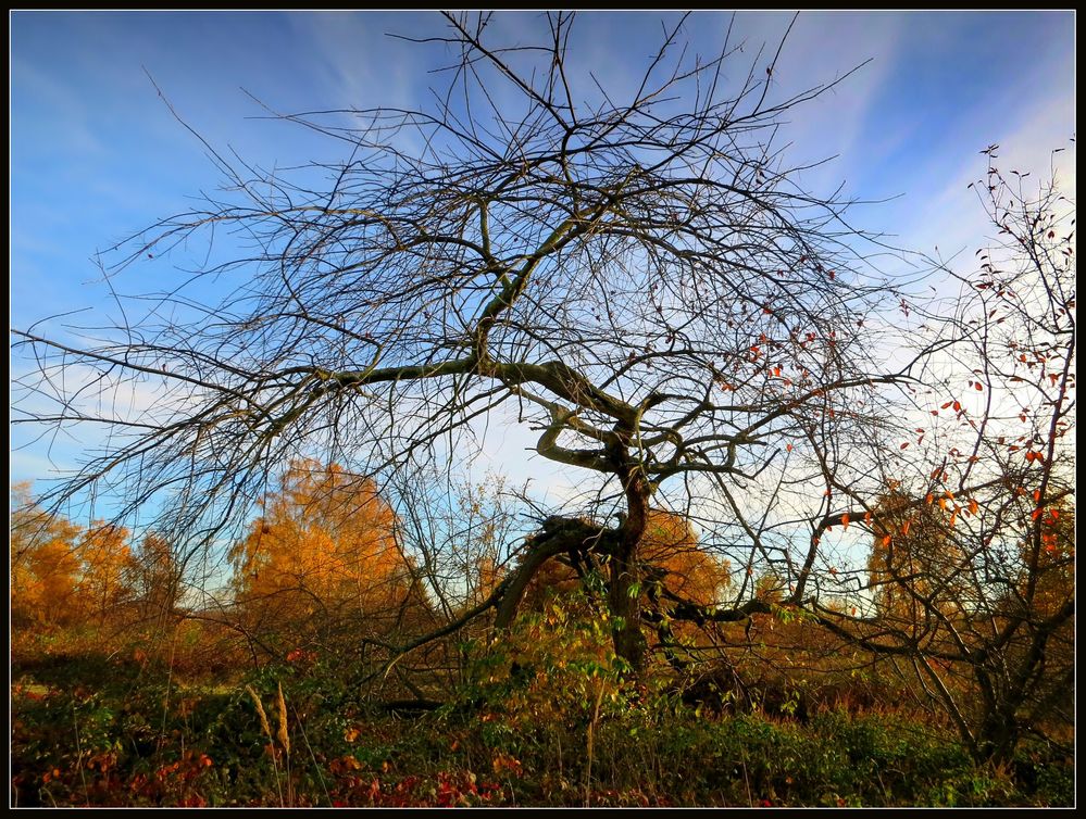 Oktober 2017 - 11