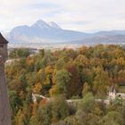 Oktober 2021  in Salzburg