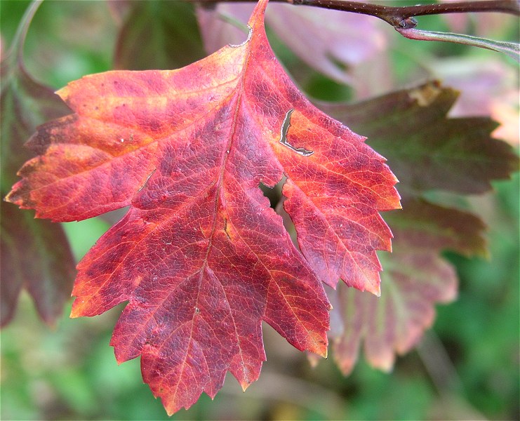 Oktober...