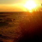 Oktober Abendsonne an der Nordsee