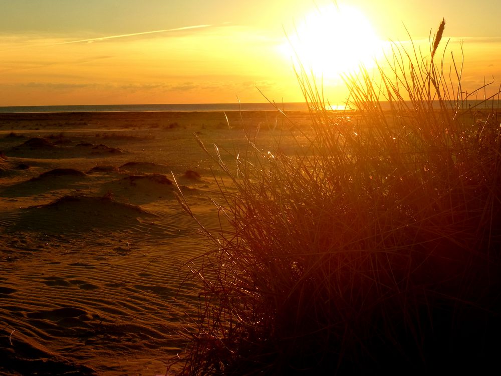 Oktober Abendsonne an der Nordsee