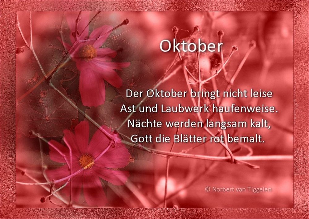 Oktober Foto & Bild oktober, jahreszeit, natur Bilder auf